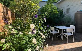 Courtyard Studio Lights And Wi Fi During Load Shedding